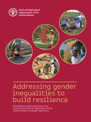 cover image of Addressing Gender Inequalities to Build Resilience